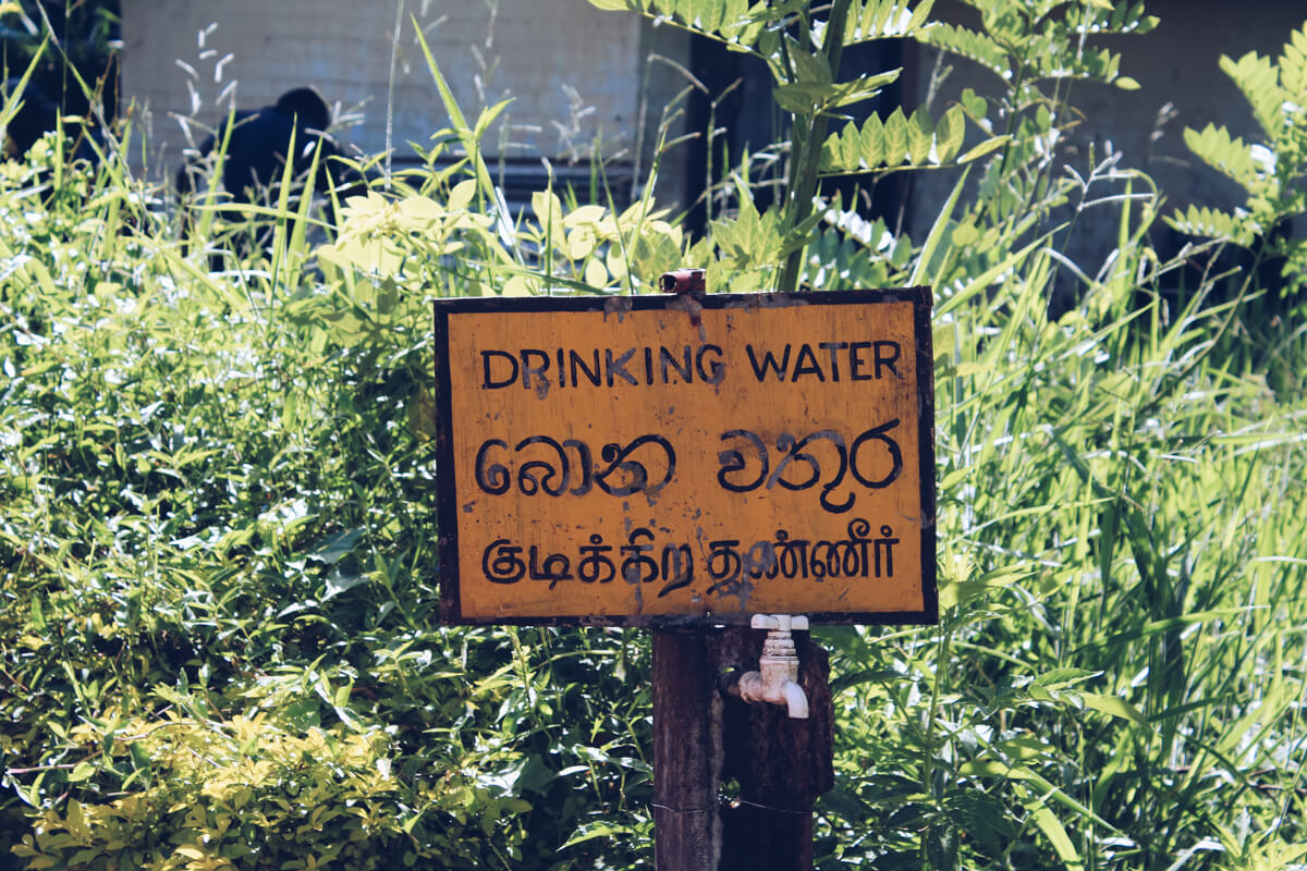 Sri Lanka: Zugfahrt von Ella nach Kandy