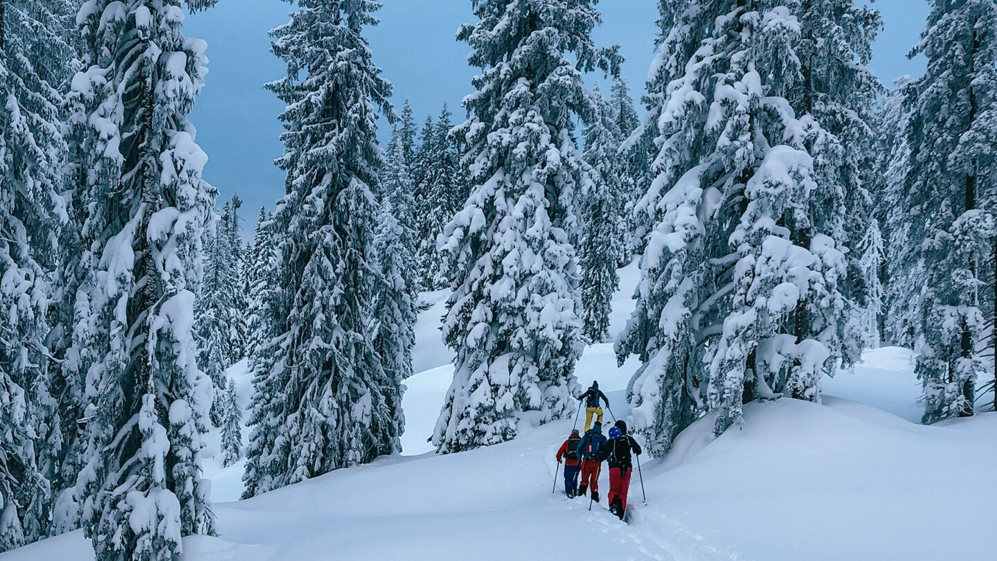 Salzburger Land: Hotel Sepp am Hochkönig