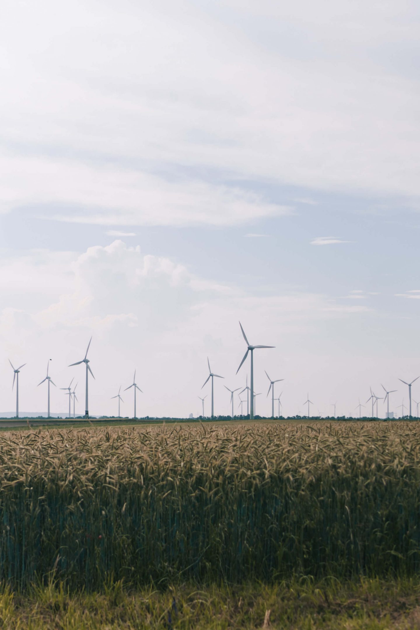 Windpark im Burgenland 