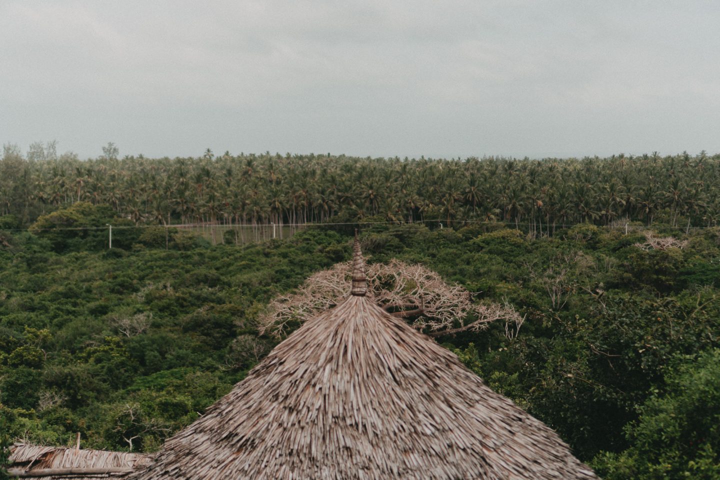 Urlaub in Kenia: Das Watamu Tree House